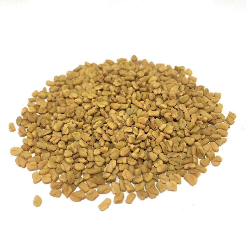 Shambhala seeds (fenugreek)