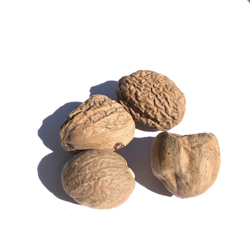 Muscat nut