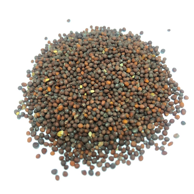 Black mustard seeds