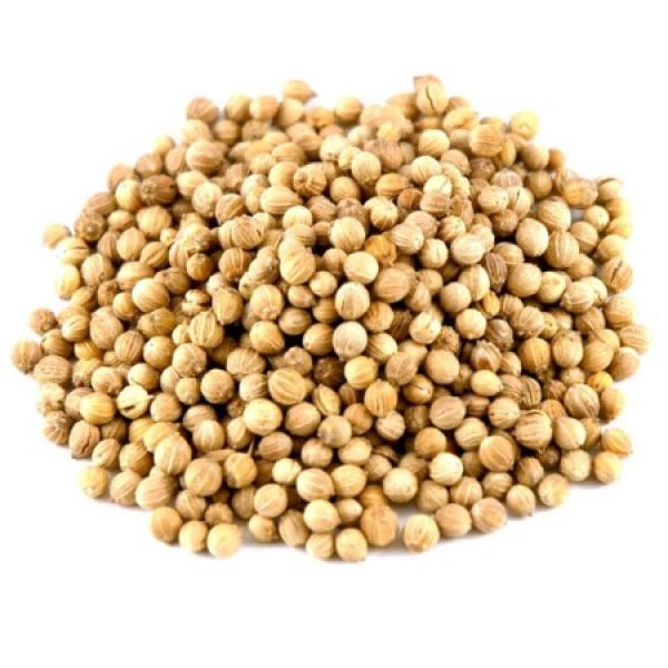 Koriander tera 06.2027