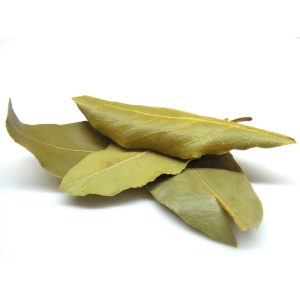 Loorberileht 06.2028