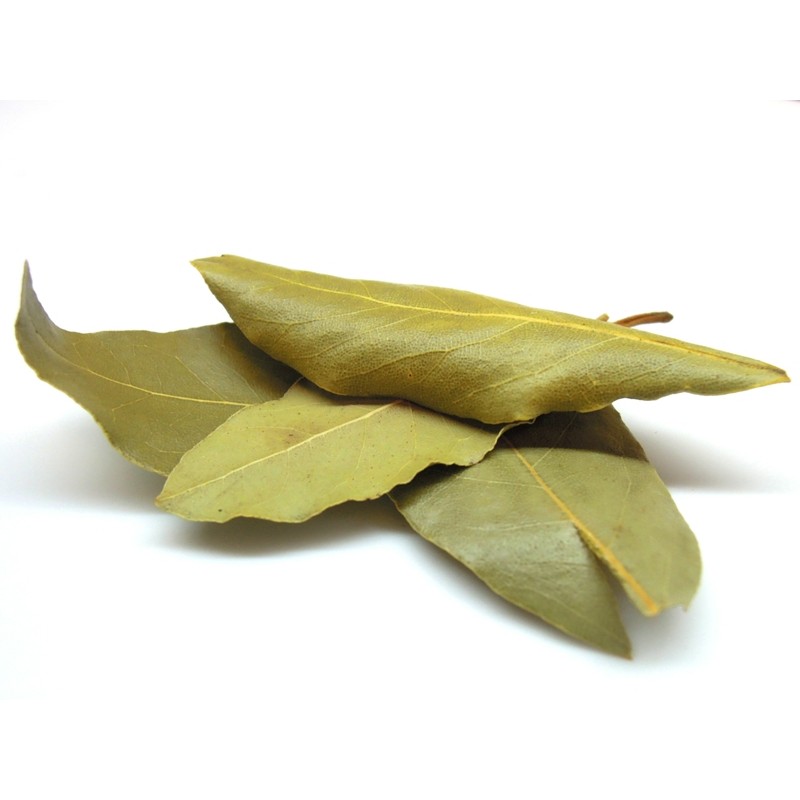 Loorberileht 06.2028