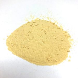 Sibulapulber 02.2029