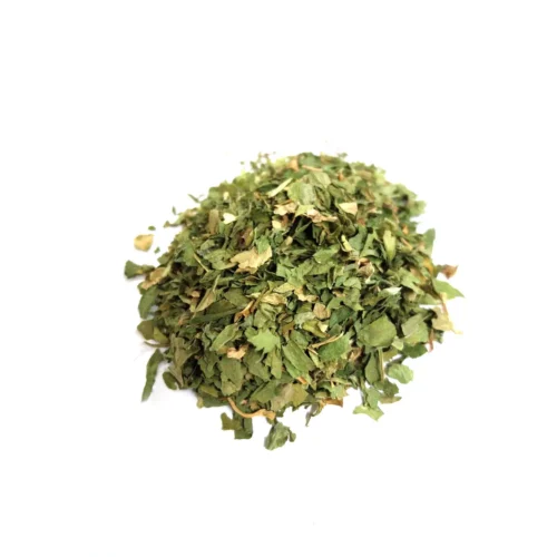 Celery leaf herb