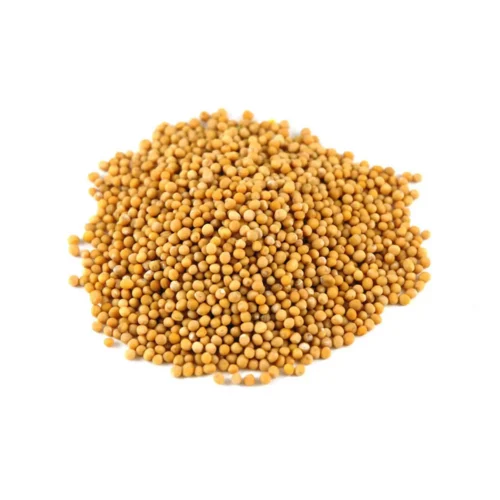 Yellow mustard seeds Yellow mustard seeds